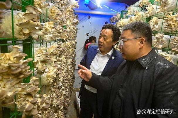 屈冬玉来华全球农业粮食体系转型解读- 万祥军